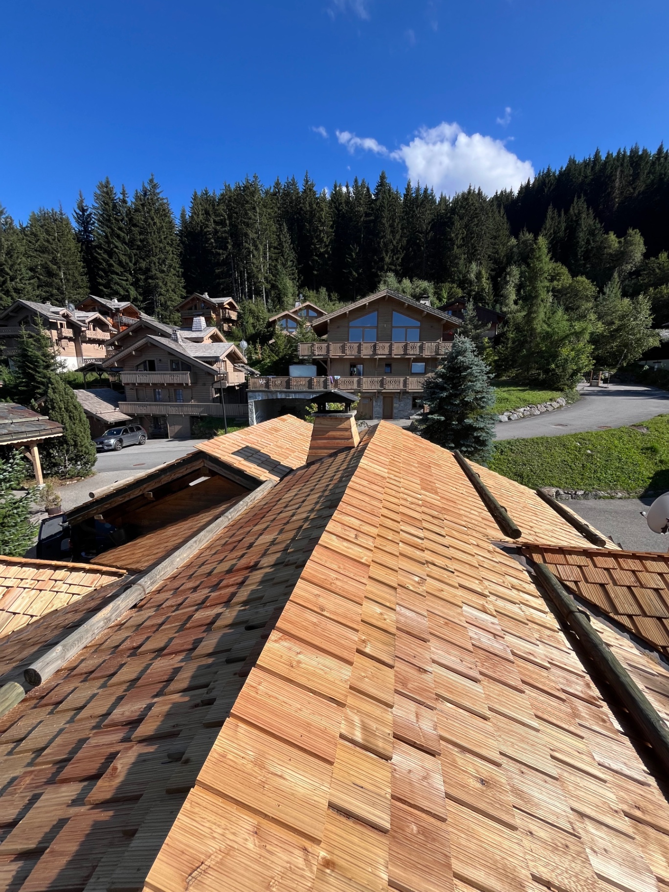 View across chalet rooftops towards forest in the Tarentaise valley